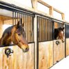 16 Counts Horse Bridle Racks, Horse Tack Storage Halter, Bridle Hooks, Bridle Holder, Metal Bridle Bracket, Hanger Metal Bridle Holder with Tubes and Screw for Horse Barn Supplies, Black-7